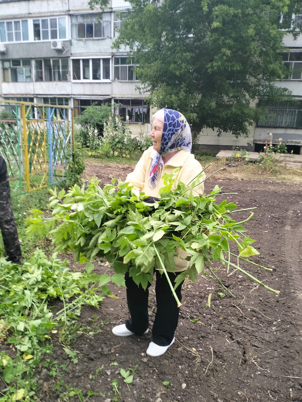 Летний субботник объединил жителей многоквартирных домов в Пролетарском районе