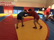 В Саранске состоялся открытый городской турнир  по спортивному самбо 