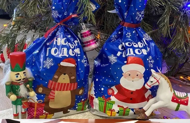 Юные жители Мордовии получат новогодние подарки с поздравлениями от Главы Республики