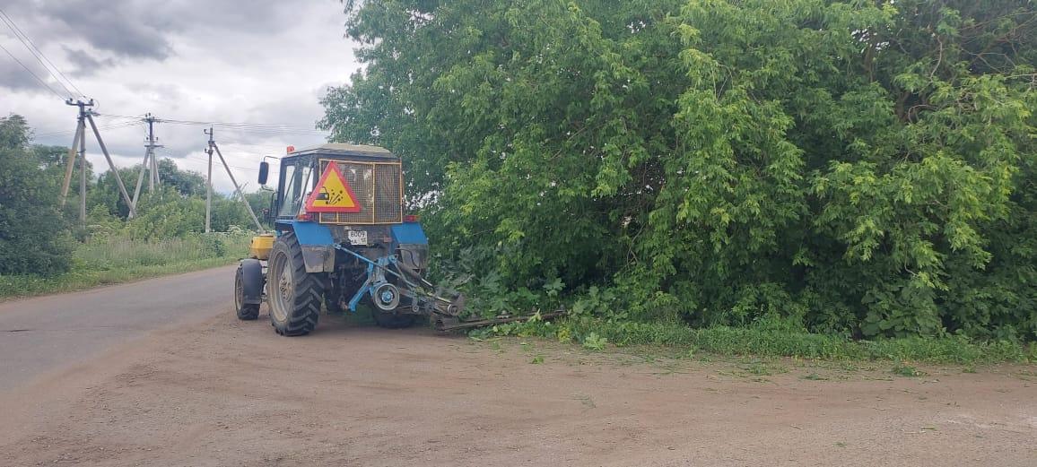 В Саранске продолжается ликвидация борщевика