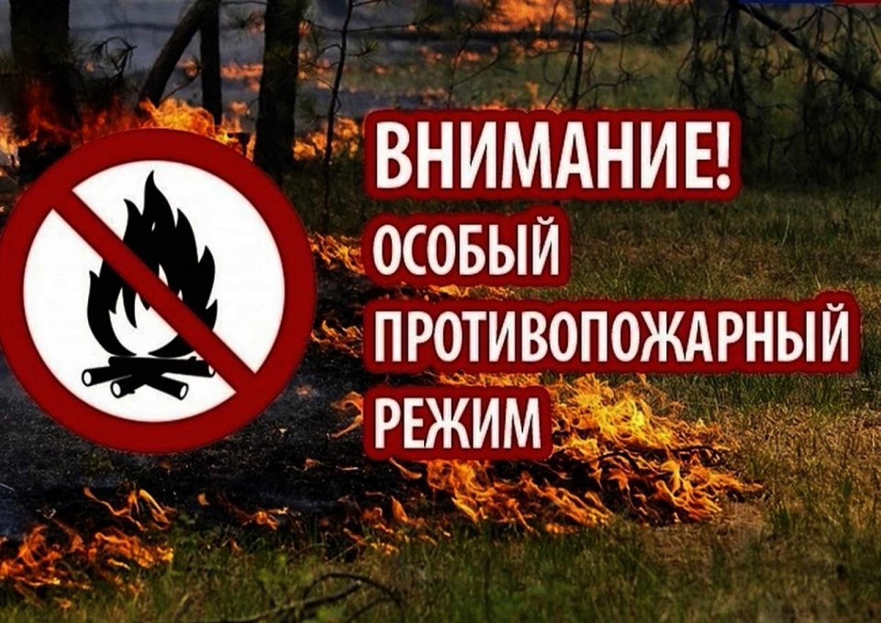 Уважаемые жители городского округа Саранск! 