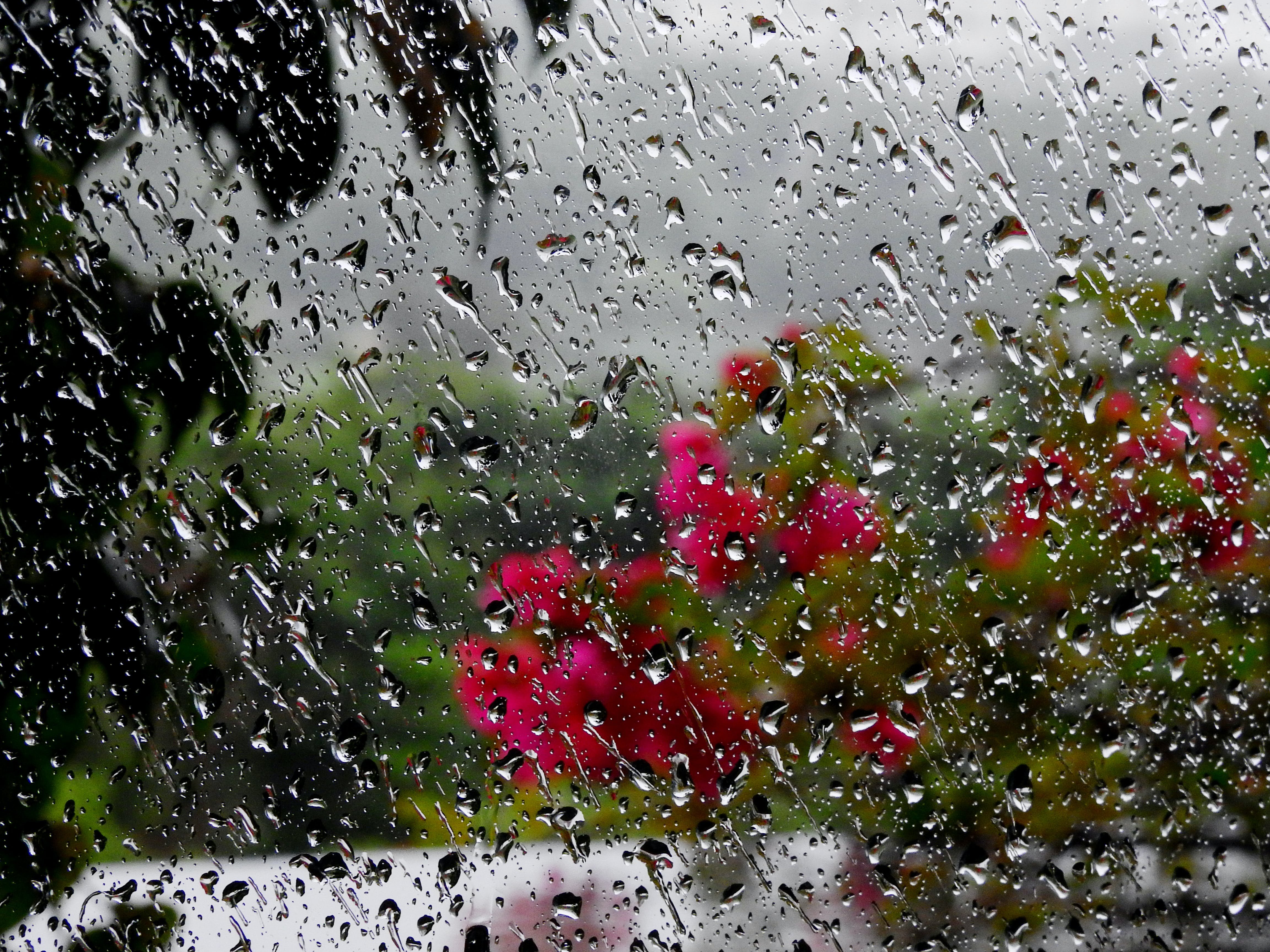 Дождик ласково. Дождь. Красивый дождь. Дождь картинки. Капли на стекле.