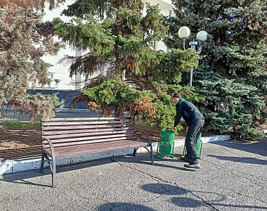 В рамках акции «Чистый город» в Саранске продолжается монтаж лавочек и урн
