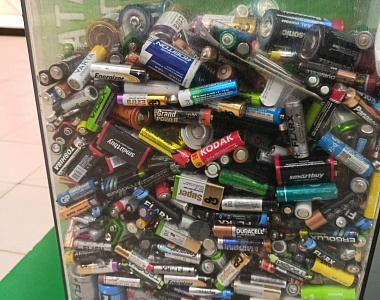 Двести килограммов использованных батареек отправляют на утилизацию каждый месяц активисты ДЭО «Зеленый мир»