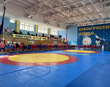 В Саранске состоялся XXIII открытый городской турнир  по спортивному самбо на призы  Администрации городского округа Саранск 