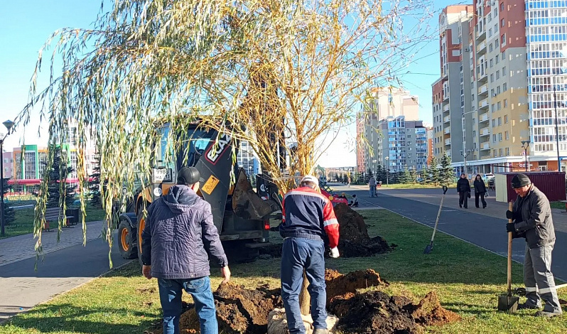 В Саранске продолжается осенняя кампания по озеленению