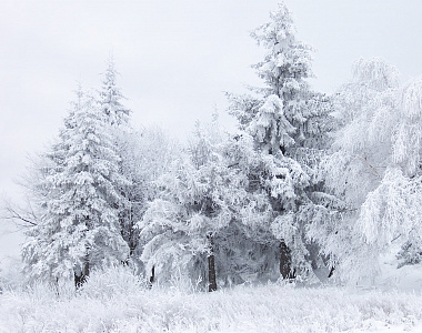 Снежный полигон в городском округе Саранск будет временно закрыт на технологический перерыв из-за большого количества завезенного снега