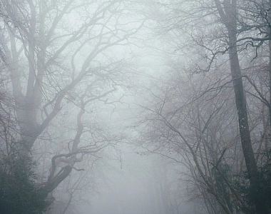 В Саранске объявлено оперативное предупреждение - туман